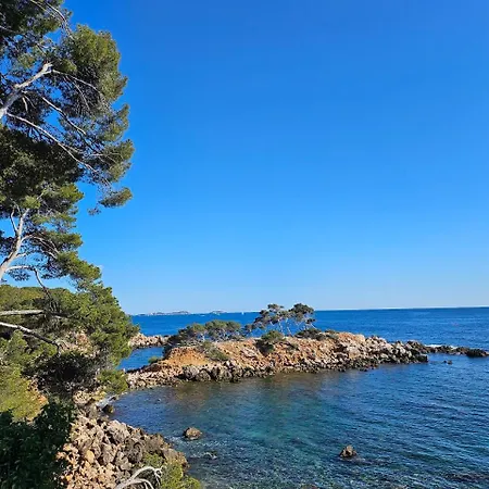 Les Pieds Dans L'eau Avec Terrasse Et Jardin Apartment Bandol